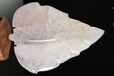 Polished Rose Quartz Leaf with Stand - Madagascar #355265-1